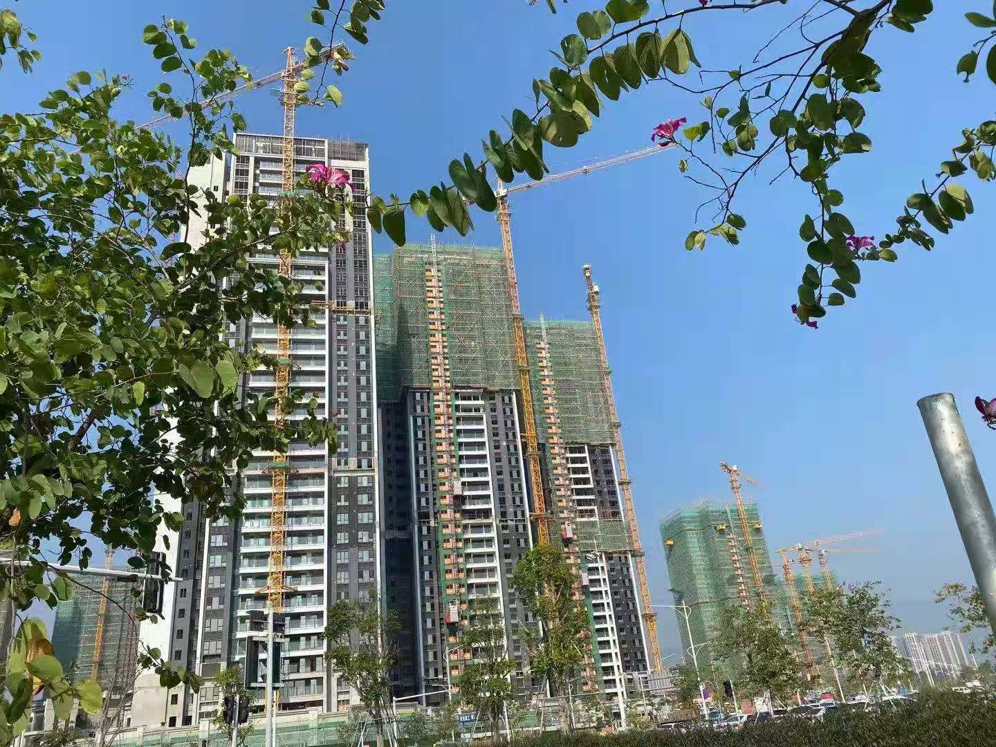 微信圖片_20210113194503.jpg